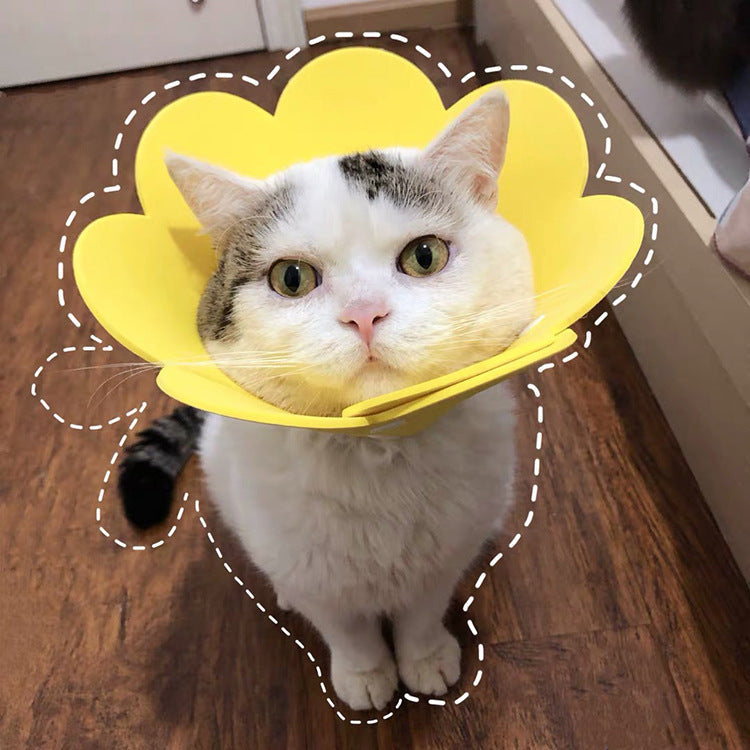 Sunflower Pet Cone Collar