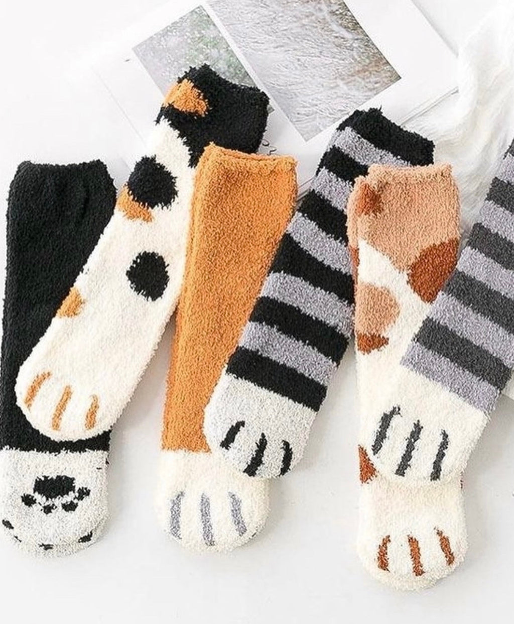 Funny Dog Socks