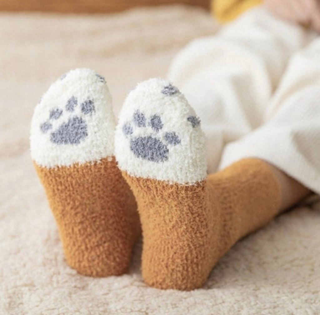 Funny Dog Socks