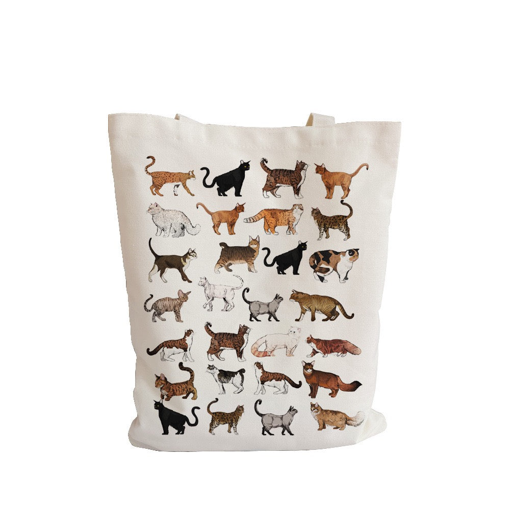 Cat Lady Carryall