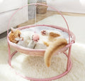 Luxury Raised Comfort Pet Bed