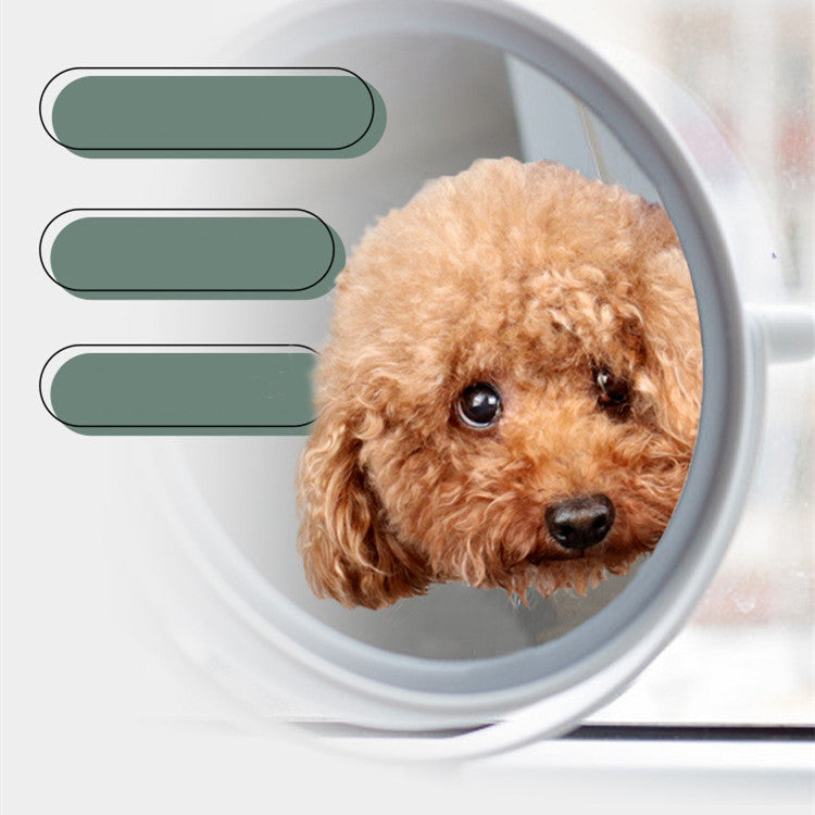 Cat and Dog Grooming Hammock Set