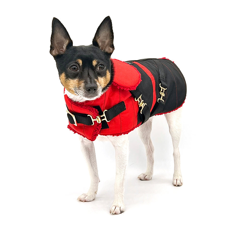 DCNY Equestrian Collection