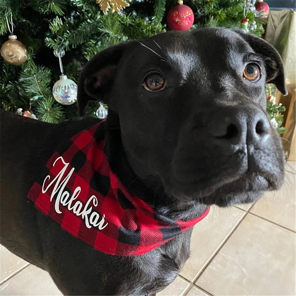 Personalized Plaid Dog Bandana
