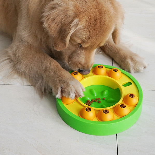 Interactive Dog Puzzle Slow Feeder