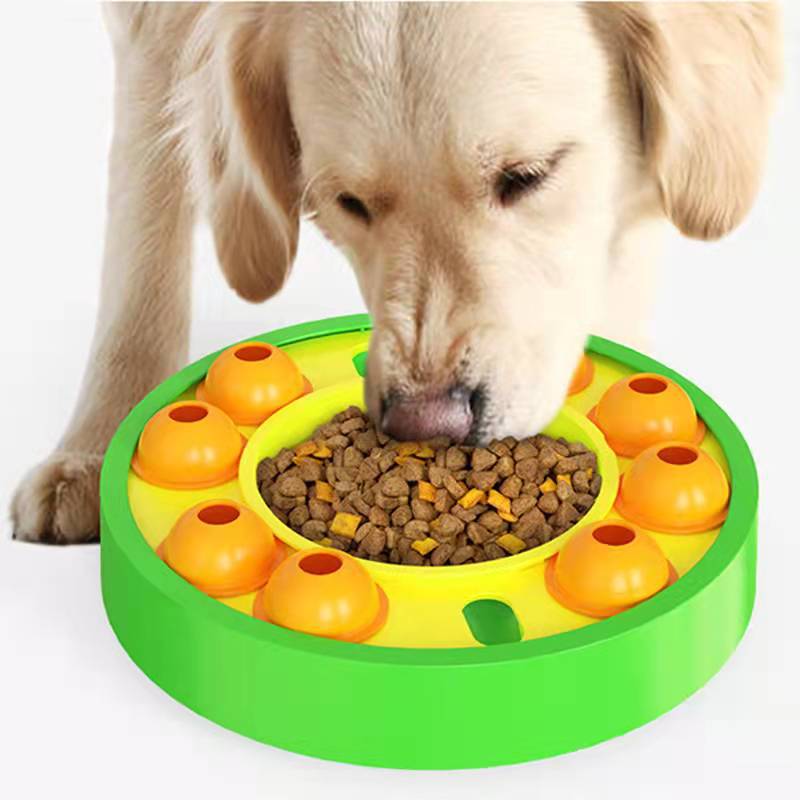 Interactive Dog Puzzle Slow Feeder