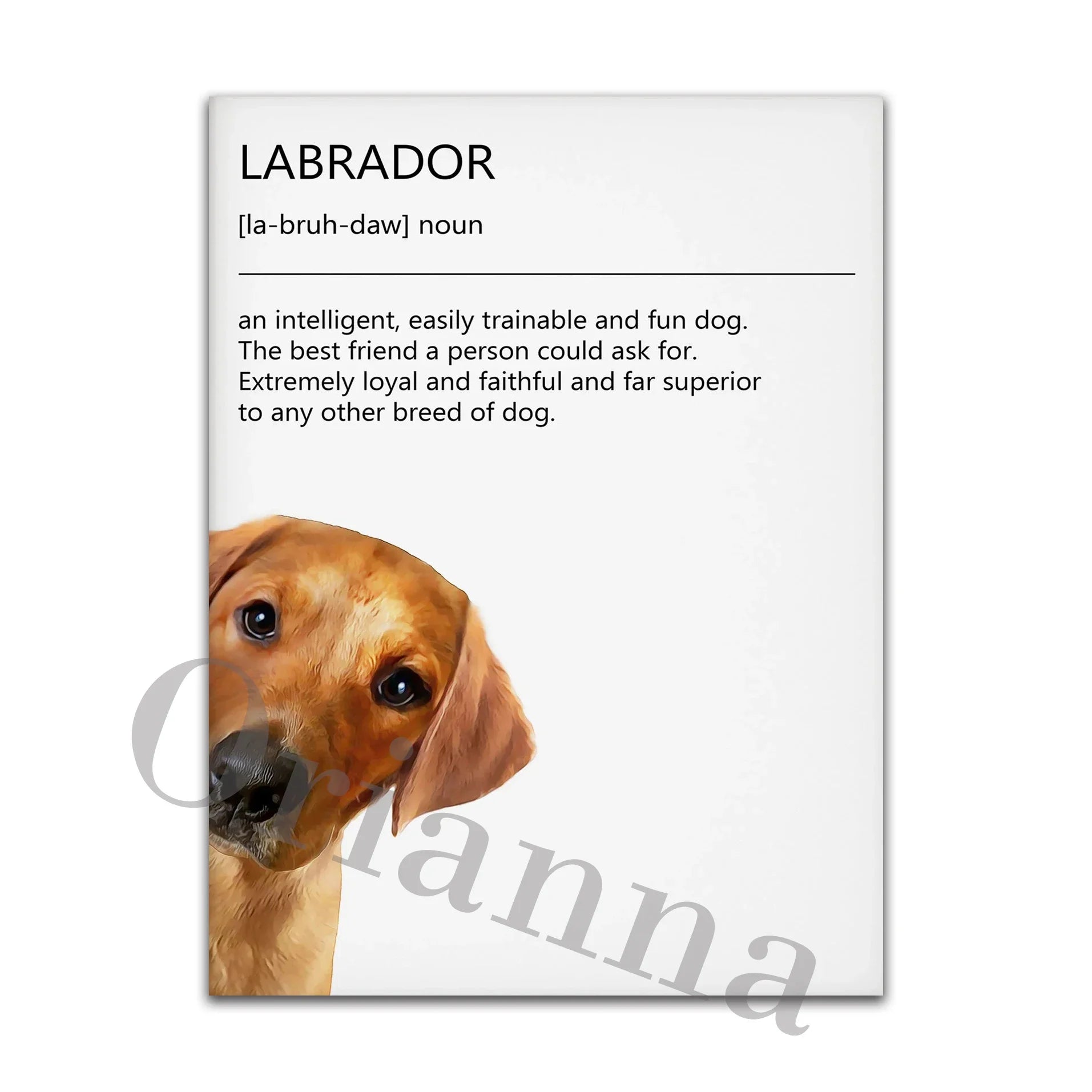 Dog Rules Unframed Canvas Prints