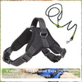 No Pull Adjustable Dog Harness And Leash Set
