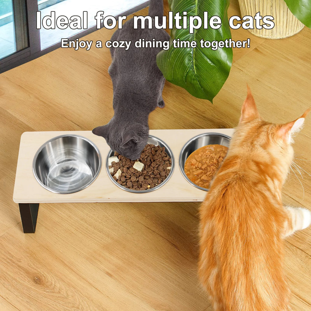Ergonomic Pet Feeding Station