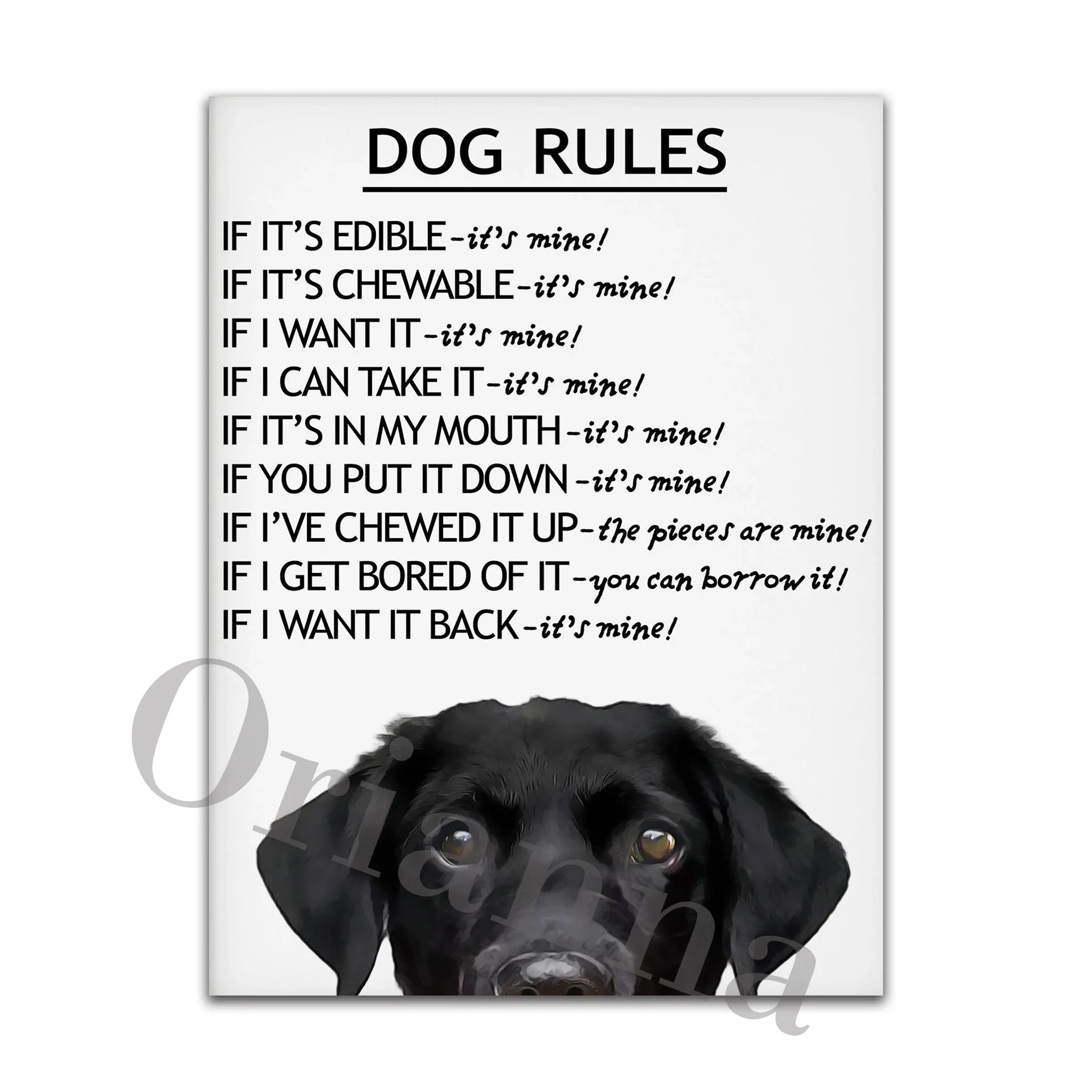Dog Rules Unframed Canvas Prints