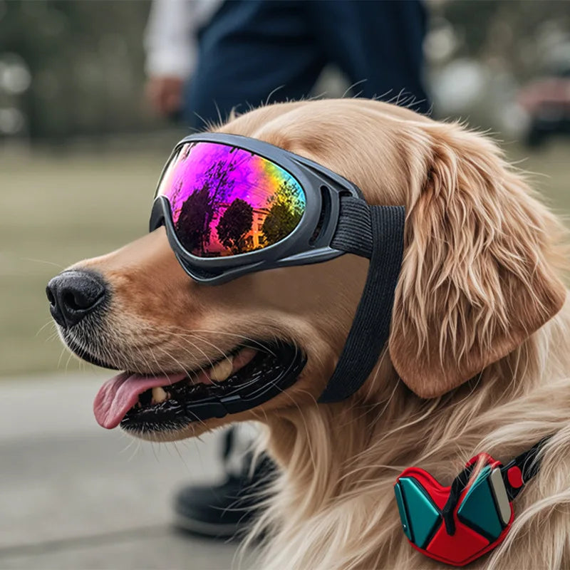 Adjustable Dog Goggles