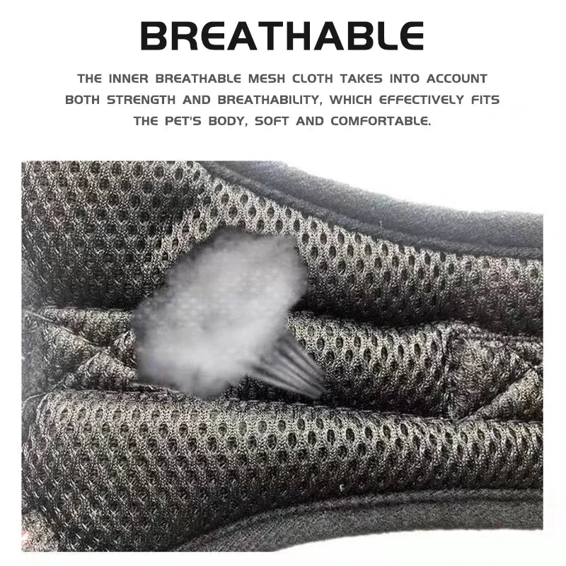 No Pull Adjustable Dog Harness And Leash Set