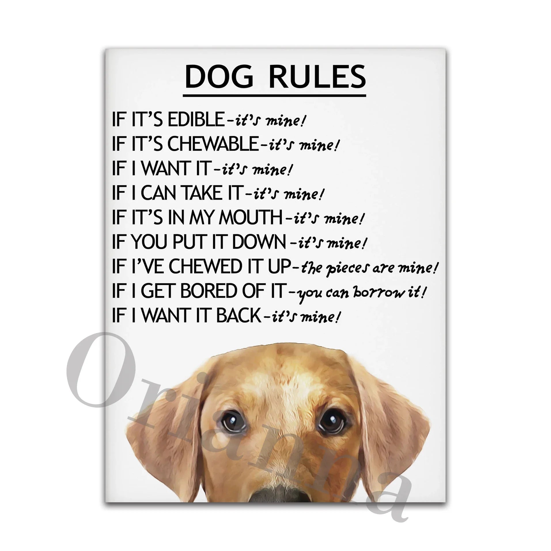 Dog Rules Unframed Canvas Prints