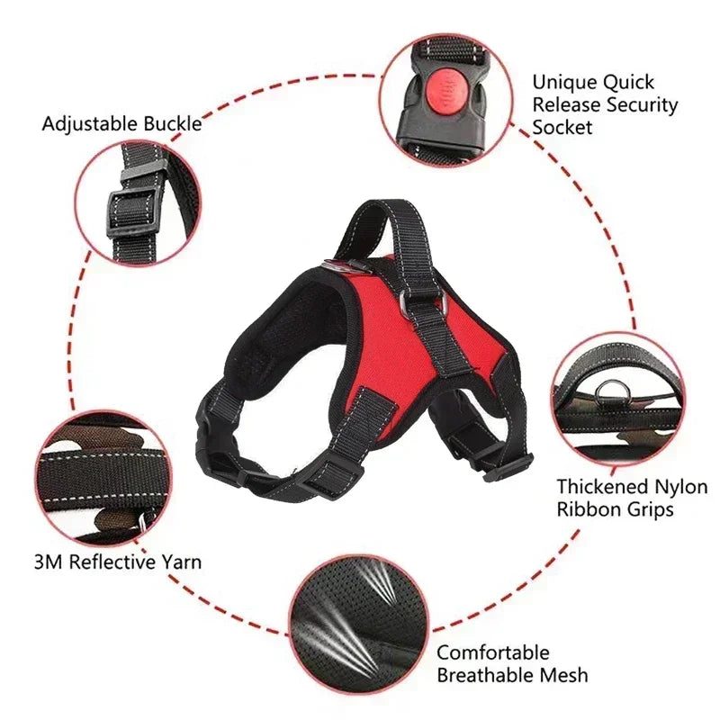 No Pull Adjustable Dog Harness And Leash Set