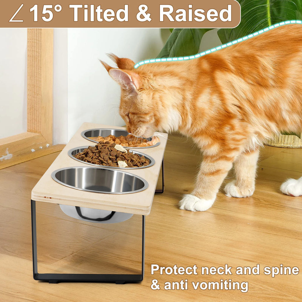 Ergonomic Pet Feeding Station