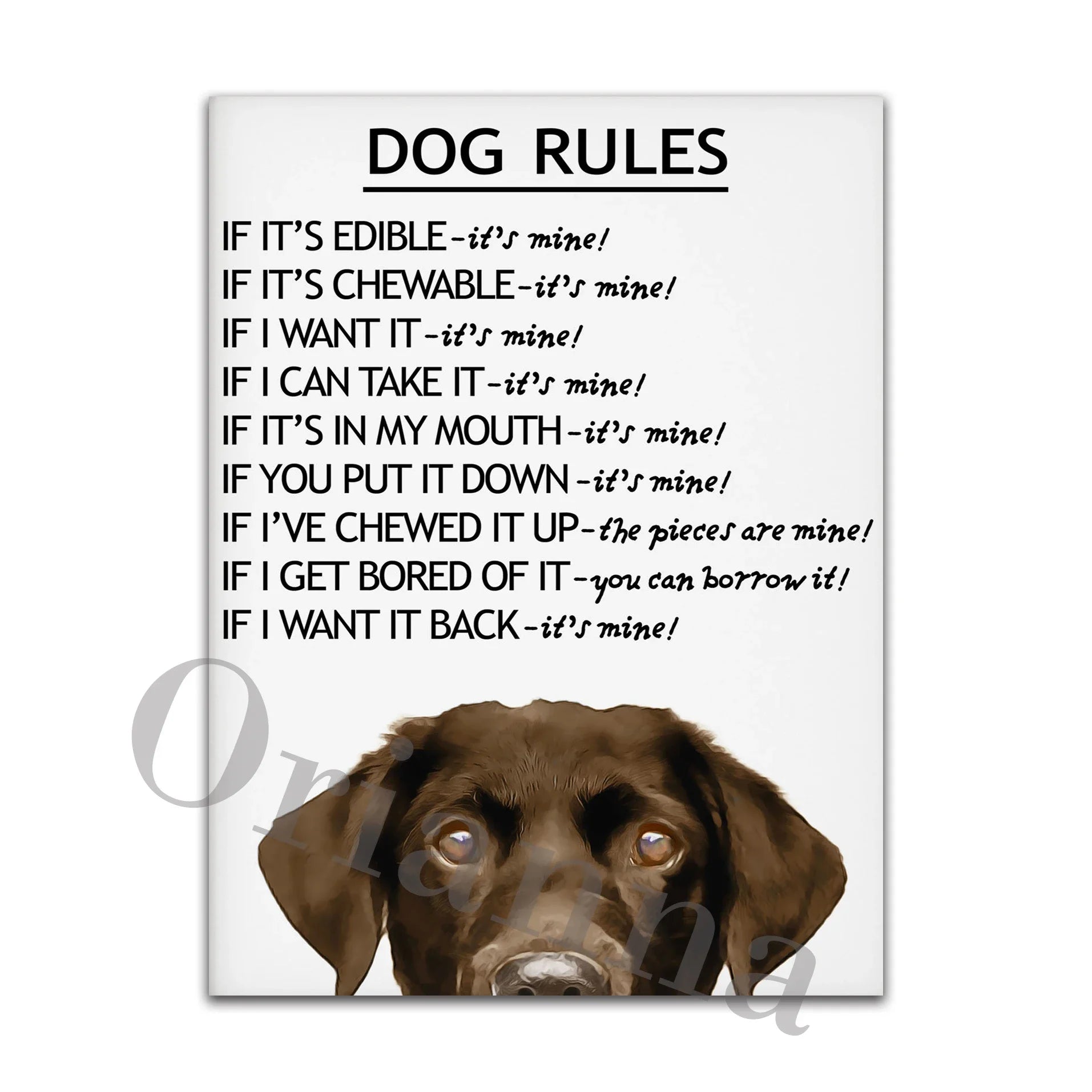 Dog Rules Unframed Canvas Prints