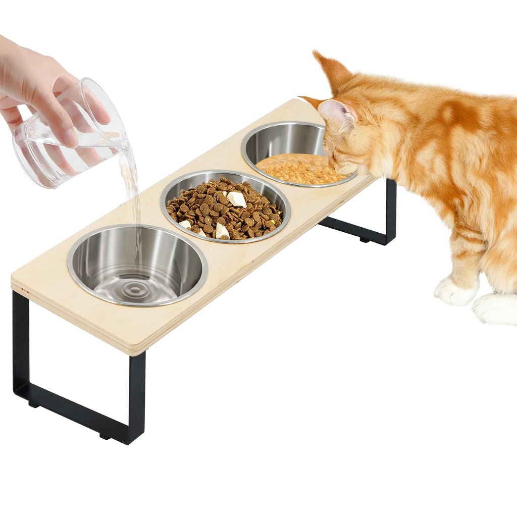 Ergonomic Pet Feeding Station