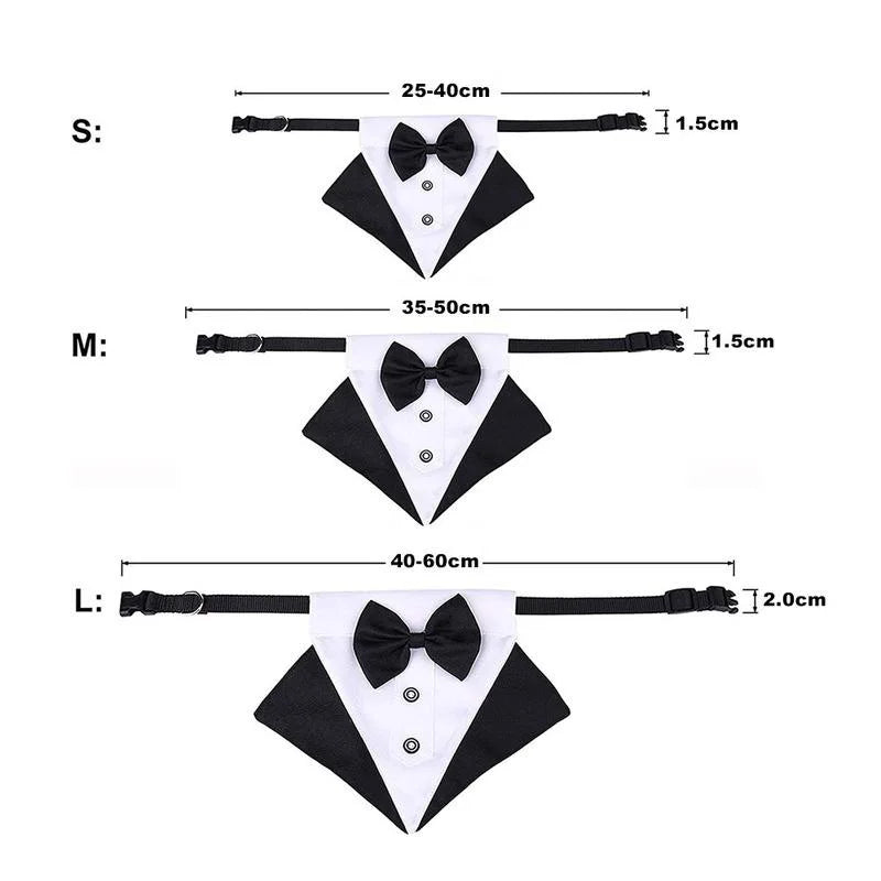 Tuxedo Bandana Collar