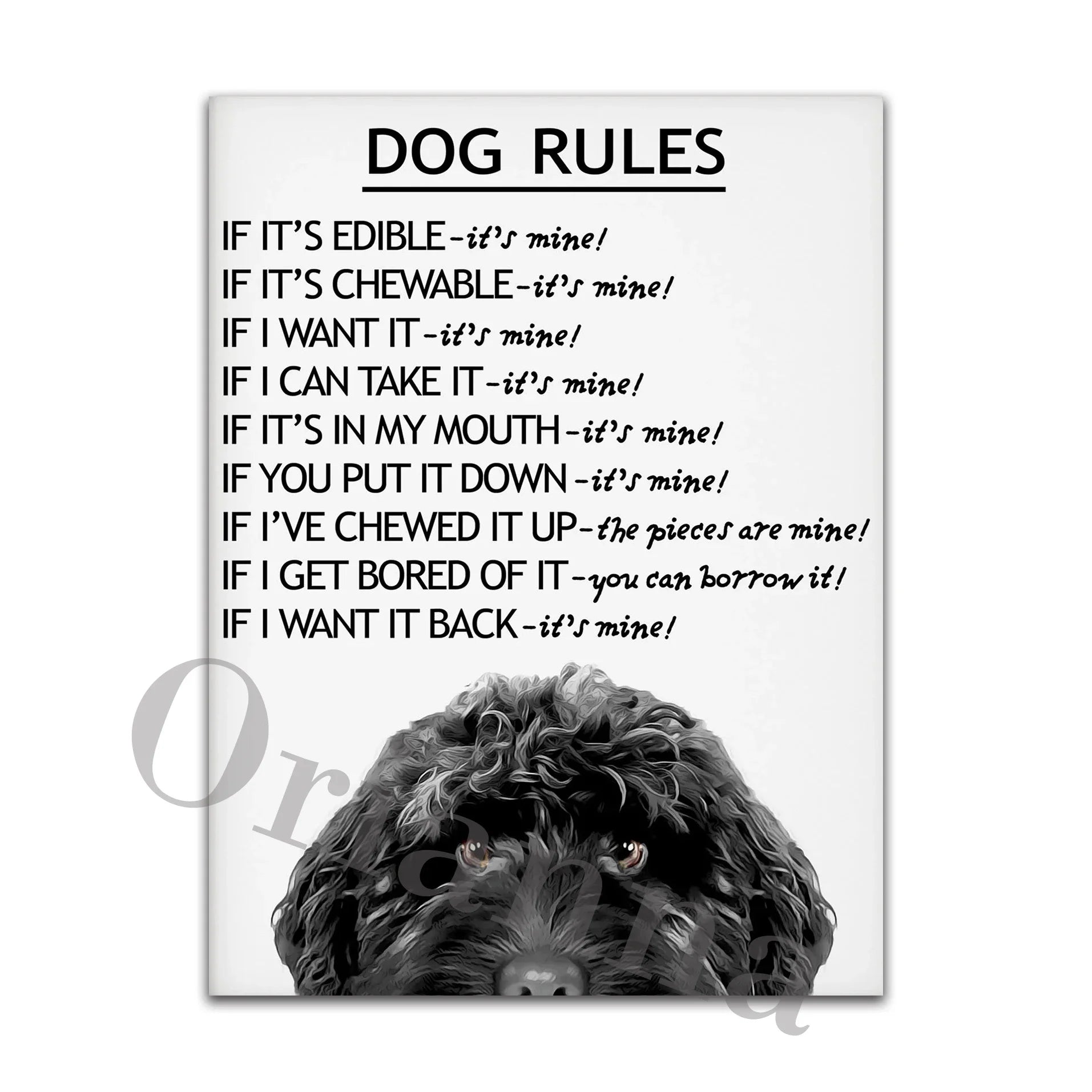 Dog Rules Unframed Canvas Prints