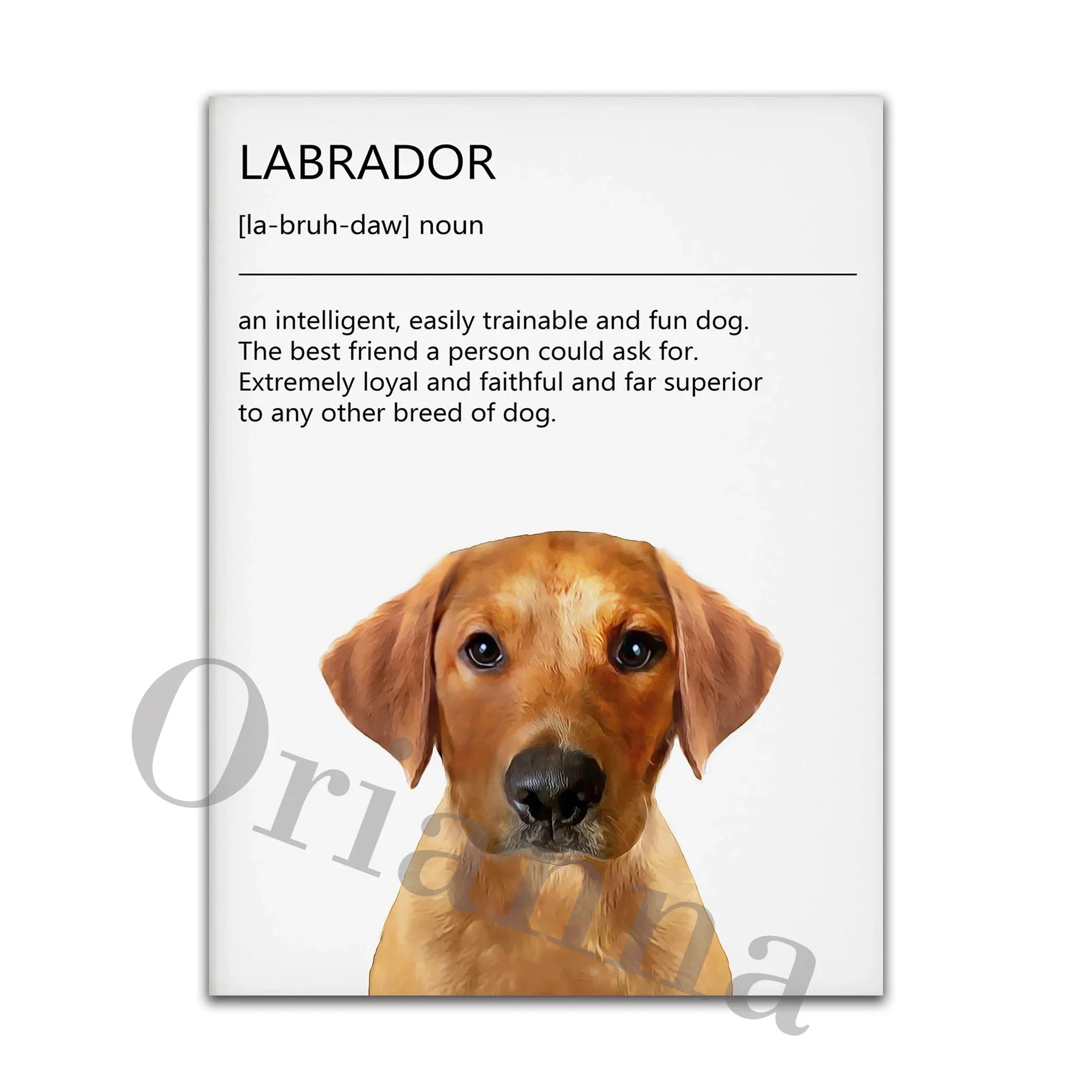 Dog Rules Unframed Canvas Prints