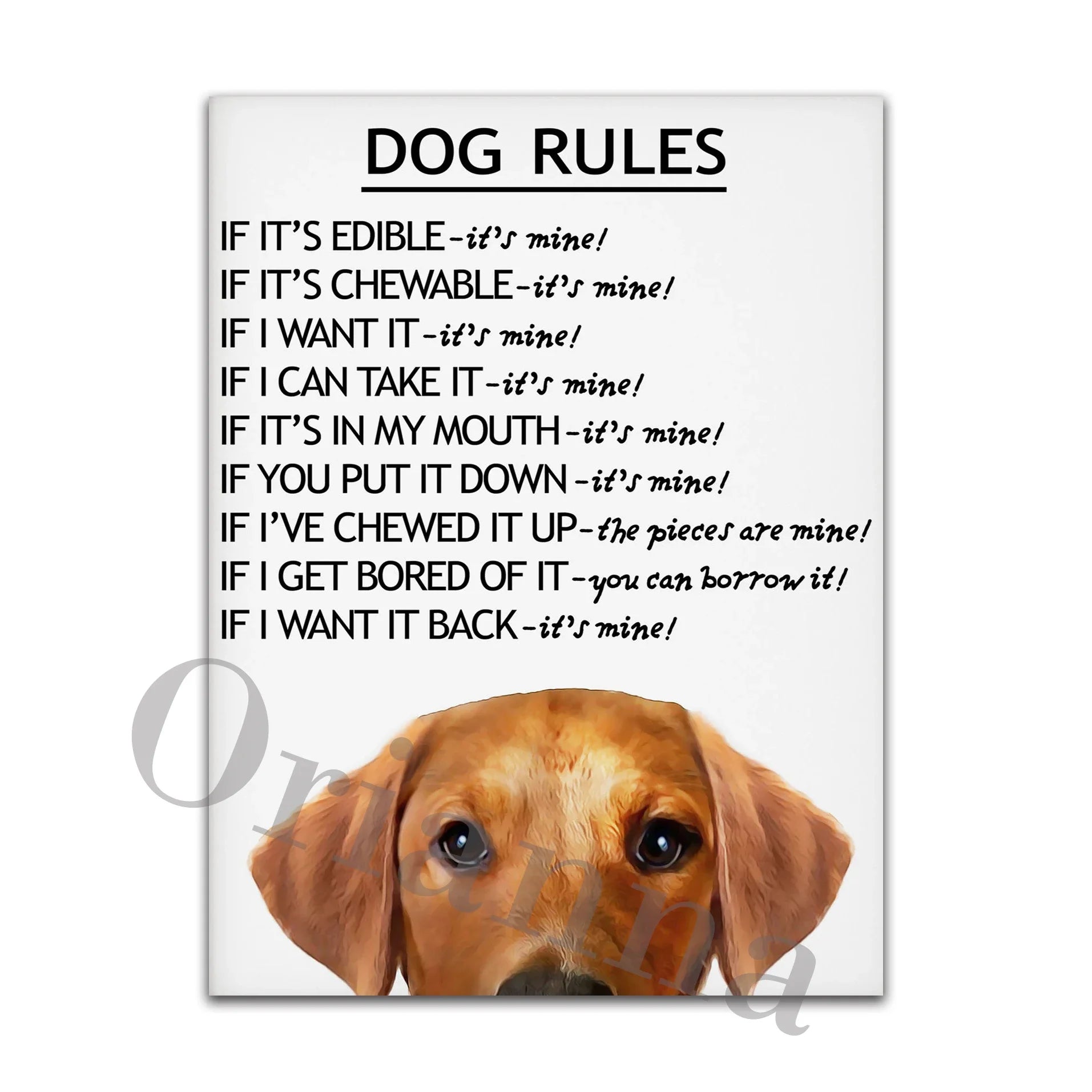 Dog Rules Unframed Canvas Prints