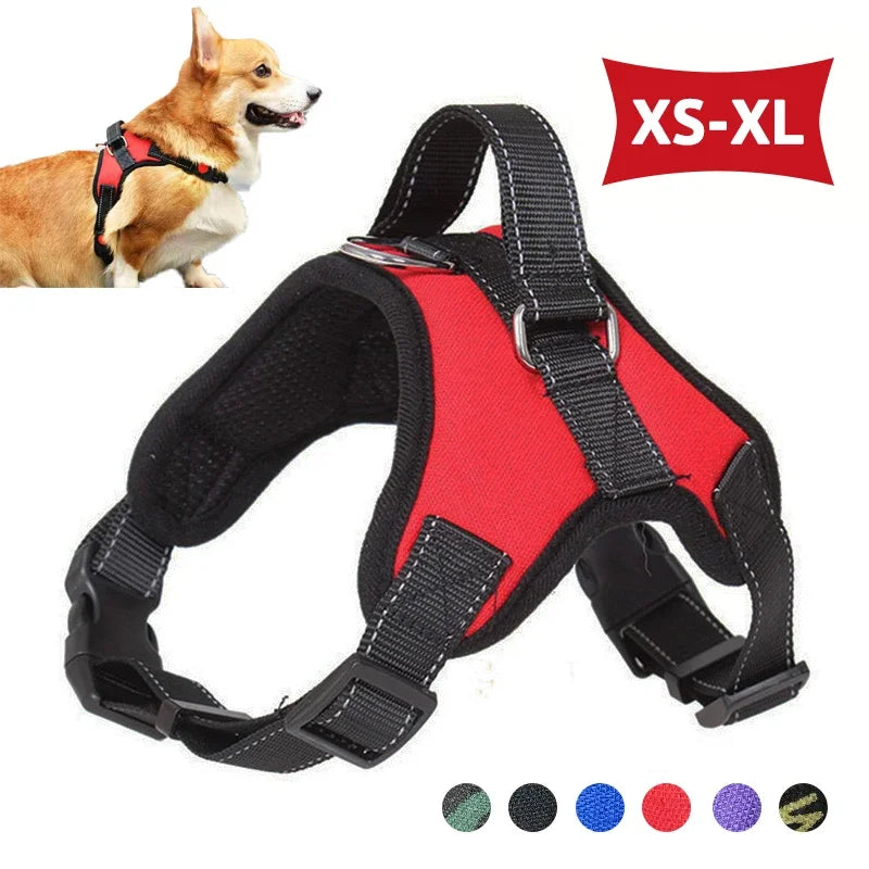 No Pull Adjustable Dog Harness And Leash Set