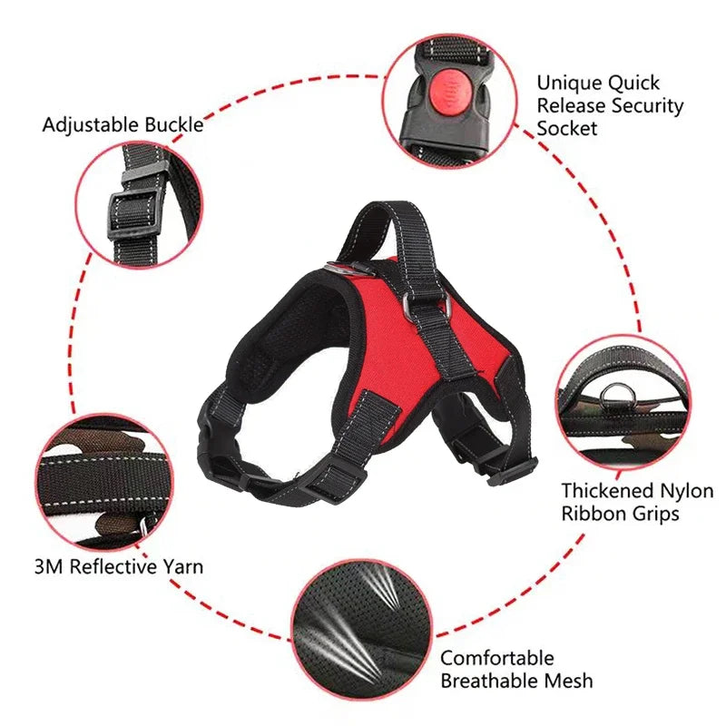 No Pull Adjustable Dog Harness And Leash Set