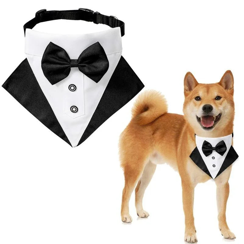 Tuxedo Bandana Collar