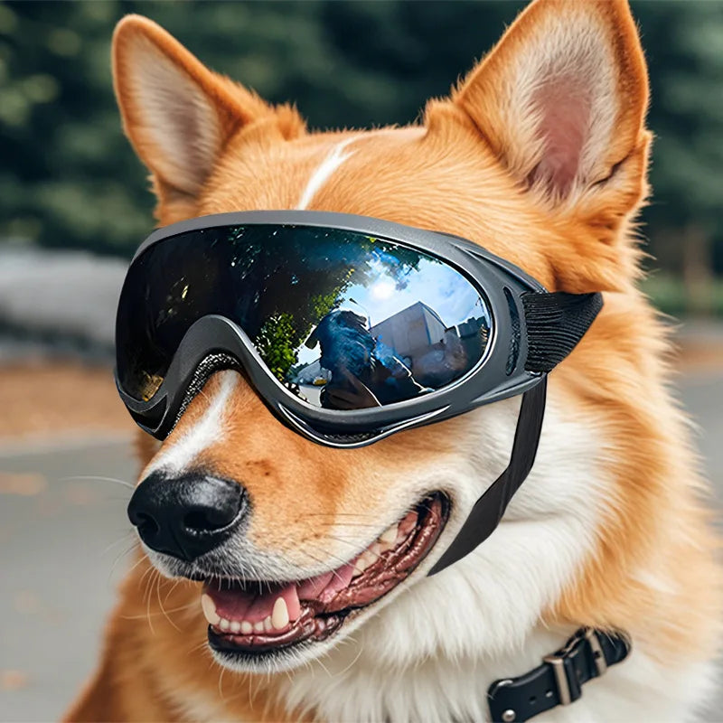 Adjustable Dog Goggles