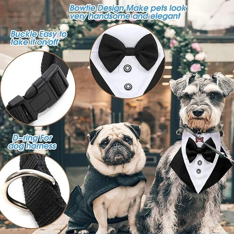 Tuxedo Bandana Collar