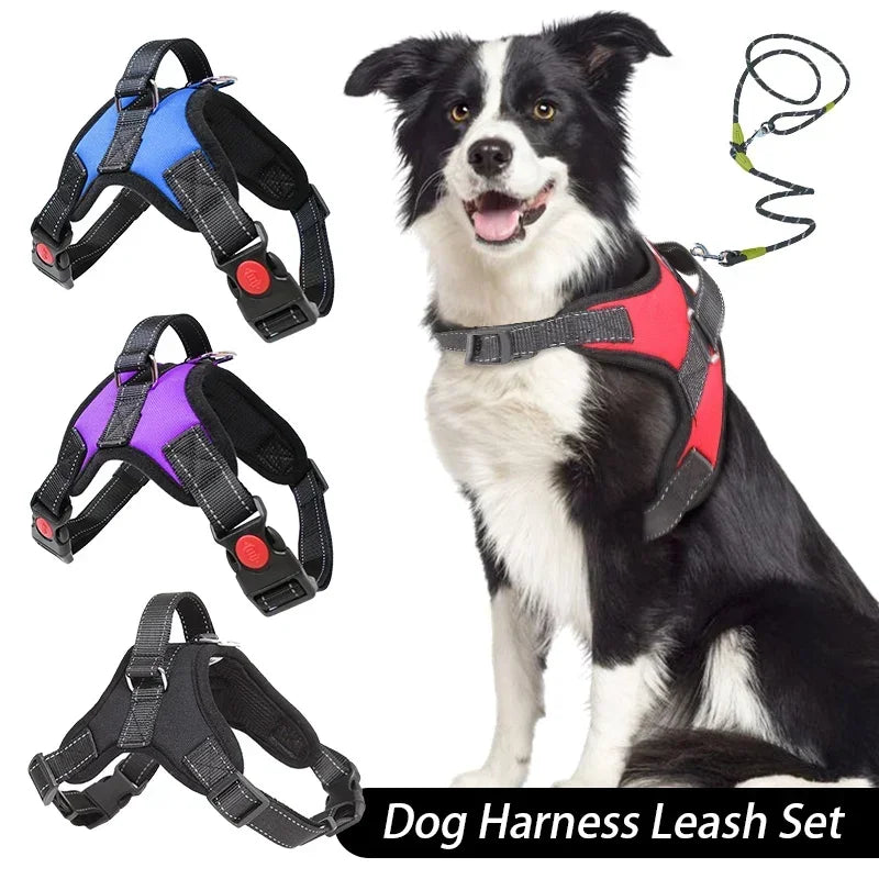 No Pull Adjustable Dog Harness And Leash Set