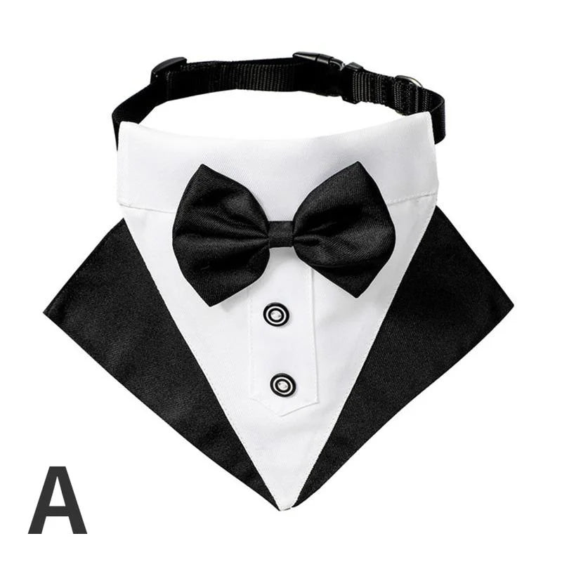 Tuxedo Bandana Collar