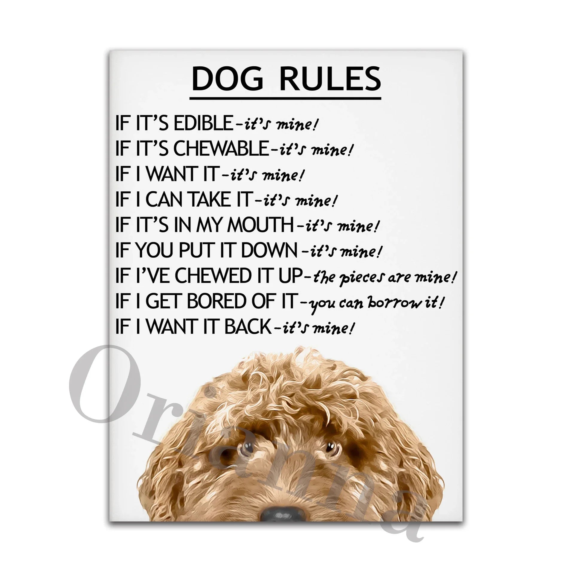 Dog Rules Unframed Canvas Prints