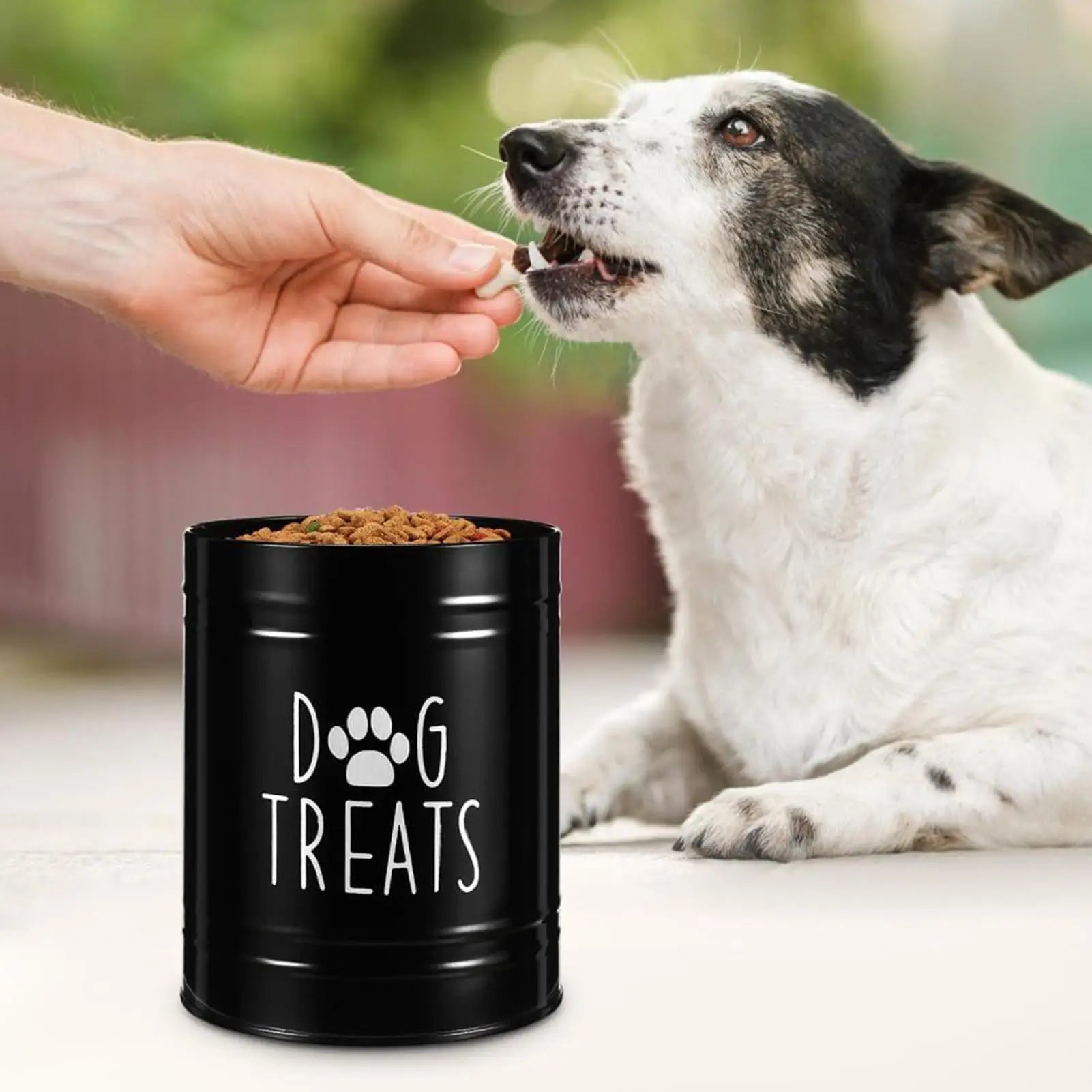 Metal Airtight Dog Food Storage Container