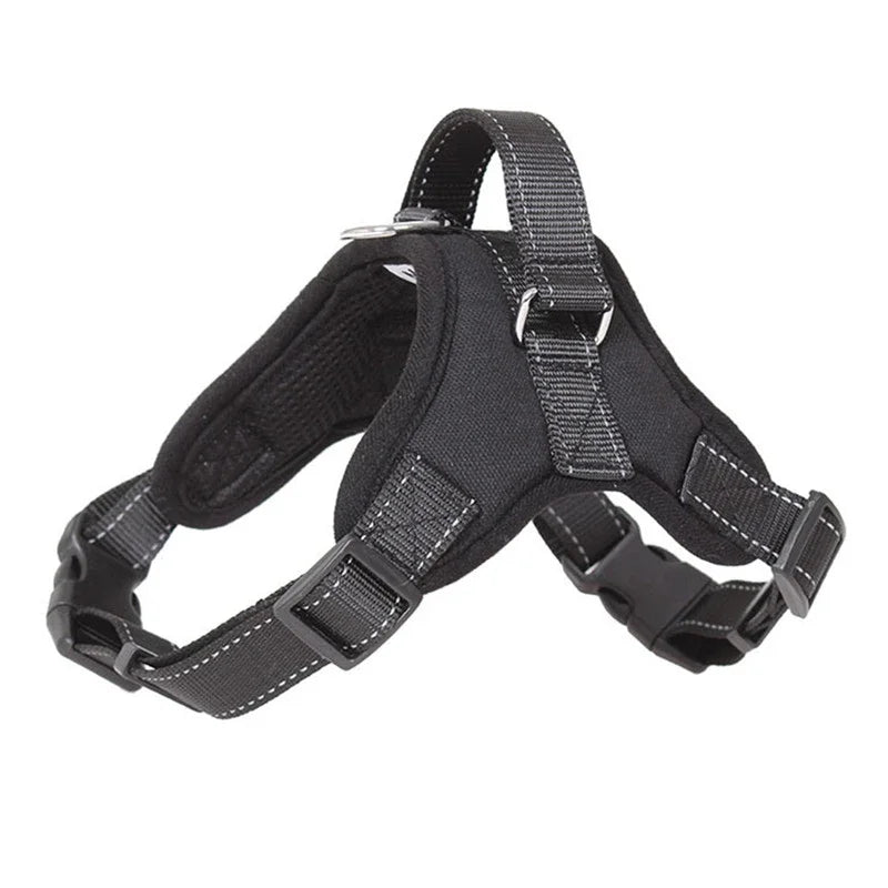 No Pull Adjustable Dog Harness And Leash Set