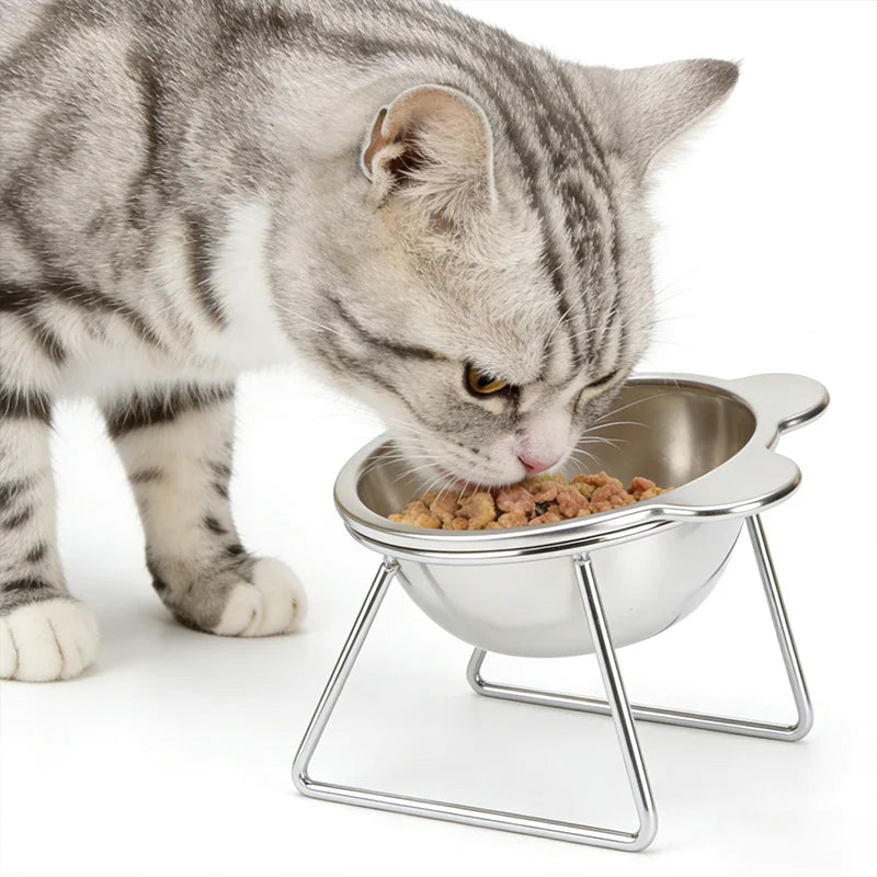 Stainless Steel Raised and Tilted Cat Food Bowl