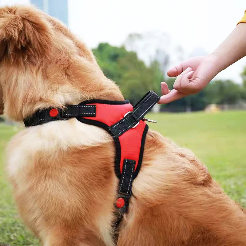 No Pull Adjustable Dog Harness And Leash Set