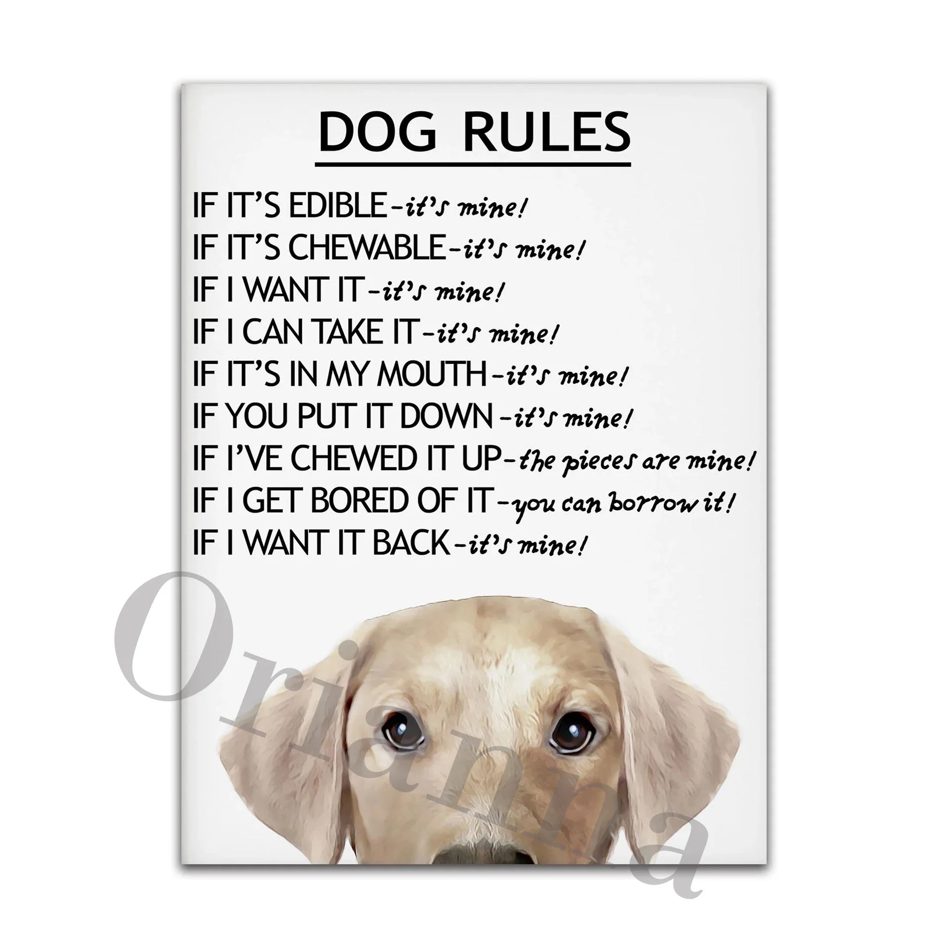 Dog Rules Unframed Canvas Prints