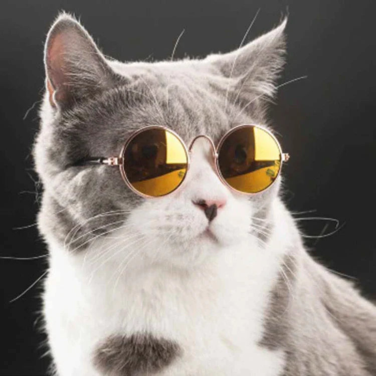 Vintage Round Pet Sunglasses