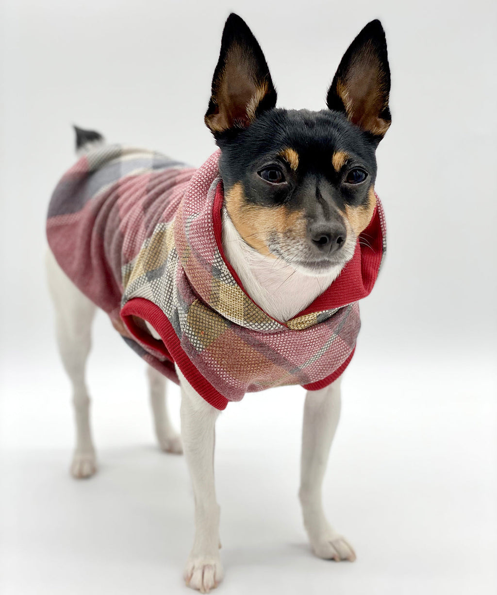 DCNY Apple Red Plaid Hoodie