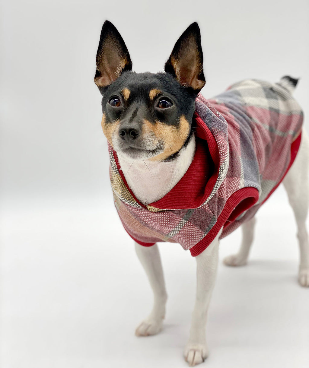 DCNY Apple Red Plaid Hoodie