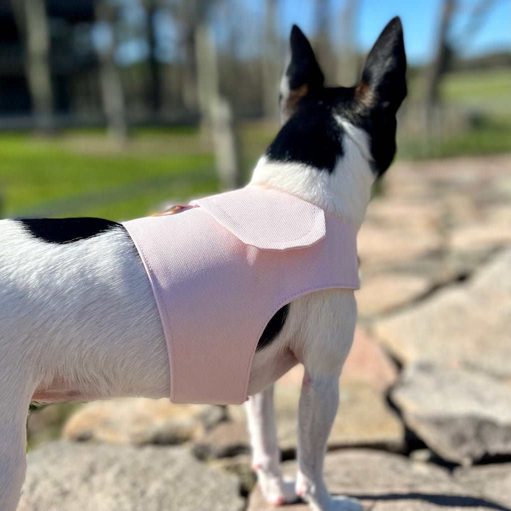 DCNY Blush Pink Harness Vest