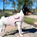 DCNY Blush Pink Harness Vest