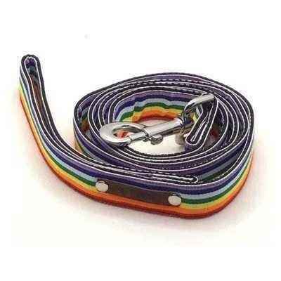 Love Is Love! Dog Collar and Leash Set