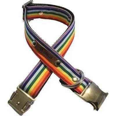 Love Is Love! Dog Collar and Leash Set