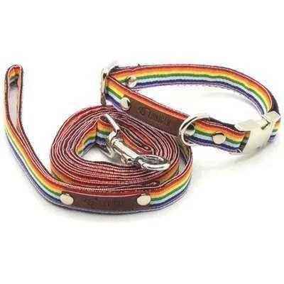 Love Is Love! Dog Collar and Leash Set